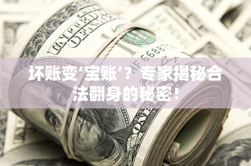 济南坏账变‘宝账’？专家揭秘合法翻身的秘密！
