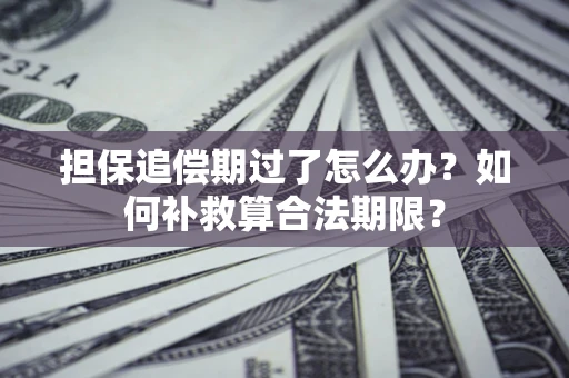 济南担保追偿期过了怎么办？如何补救算合法期限？