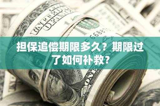 济南担保追偿期限多久？期限过了如何补救？