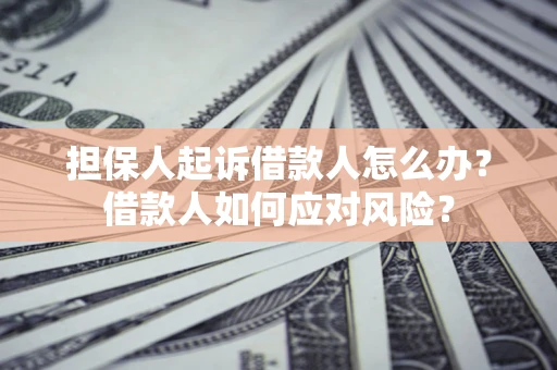 济南担保人起诉借款人怎么办？借款人如何应对风险？